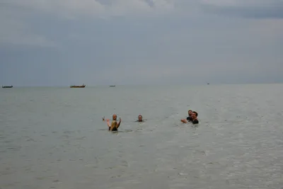 DSC_5440 (Large).JPG